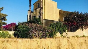 Un edificio de dos pisos con techo plano, rodeado por un campo de hierba alta y diversos arbustos y flores.
