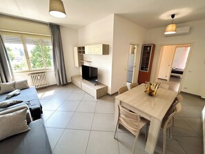 TV, lettore DVD, libri