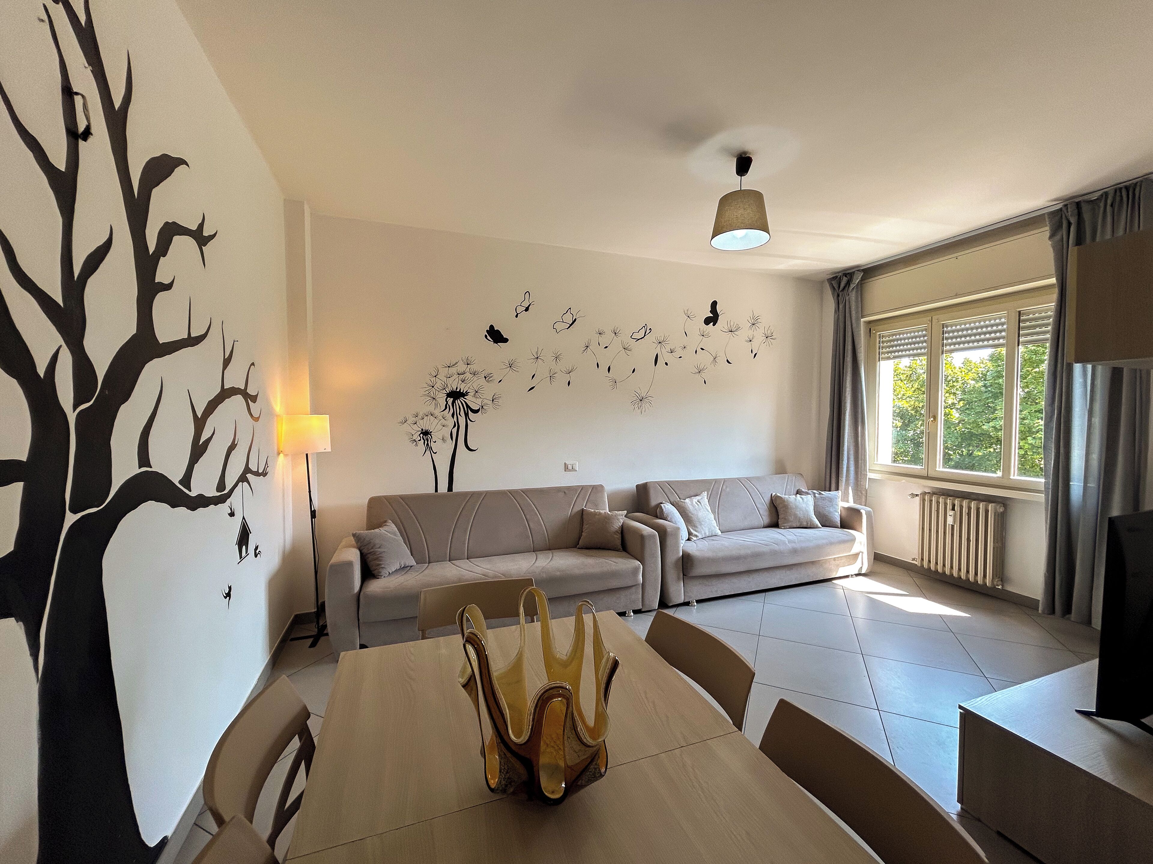 Télévision, lecteur de DVD, livres