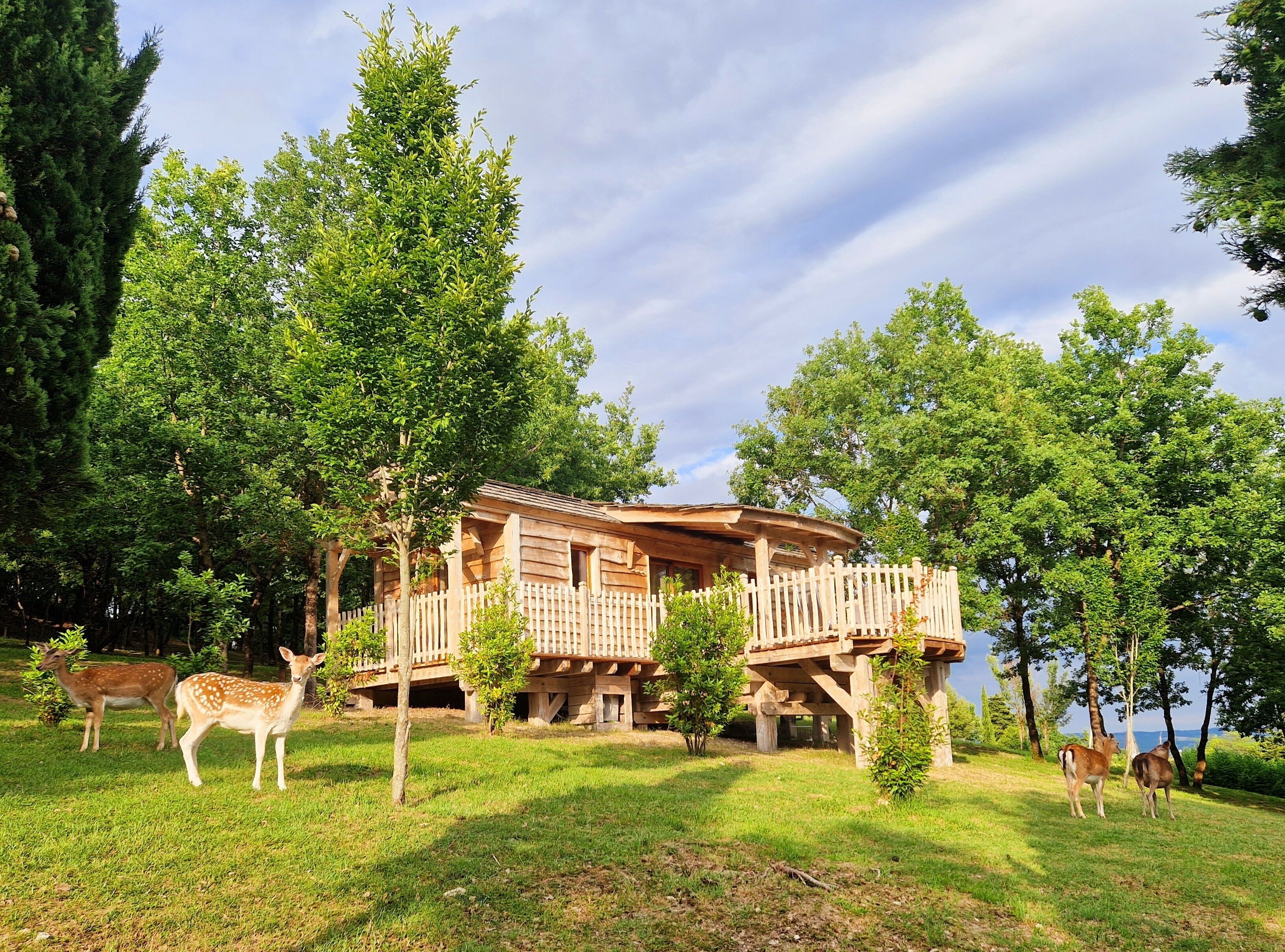 Cabane DAIMS plain pied, SPA privatif et vue panoramique | Park view