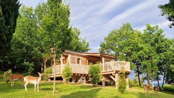 Cabane DAIMS plain pied, SPA privatif et vue panoramique | Park view