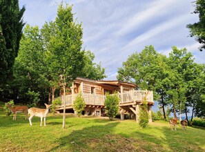 Cabane DAIMS plain pied, SPA privatif et vue panoramique | Park view