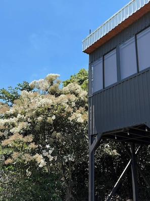 Casa, 1 habitación, para fumadores, vista a la montaña | Detalle exterior