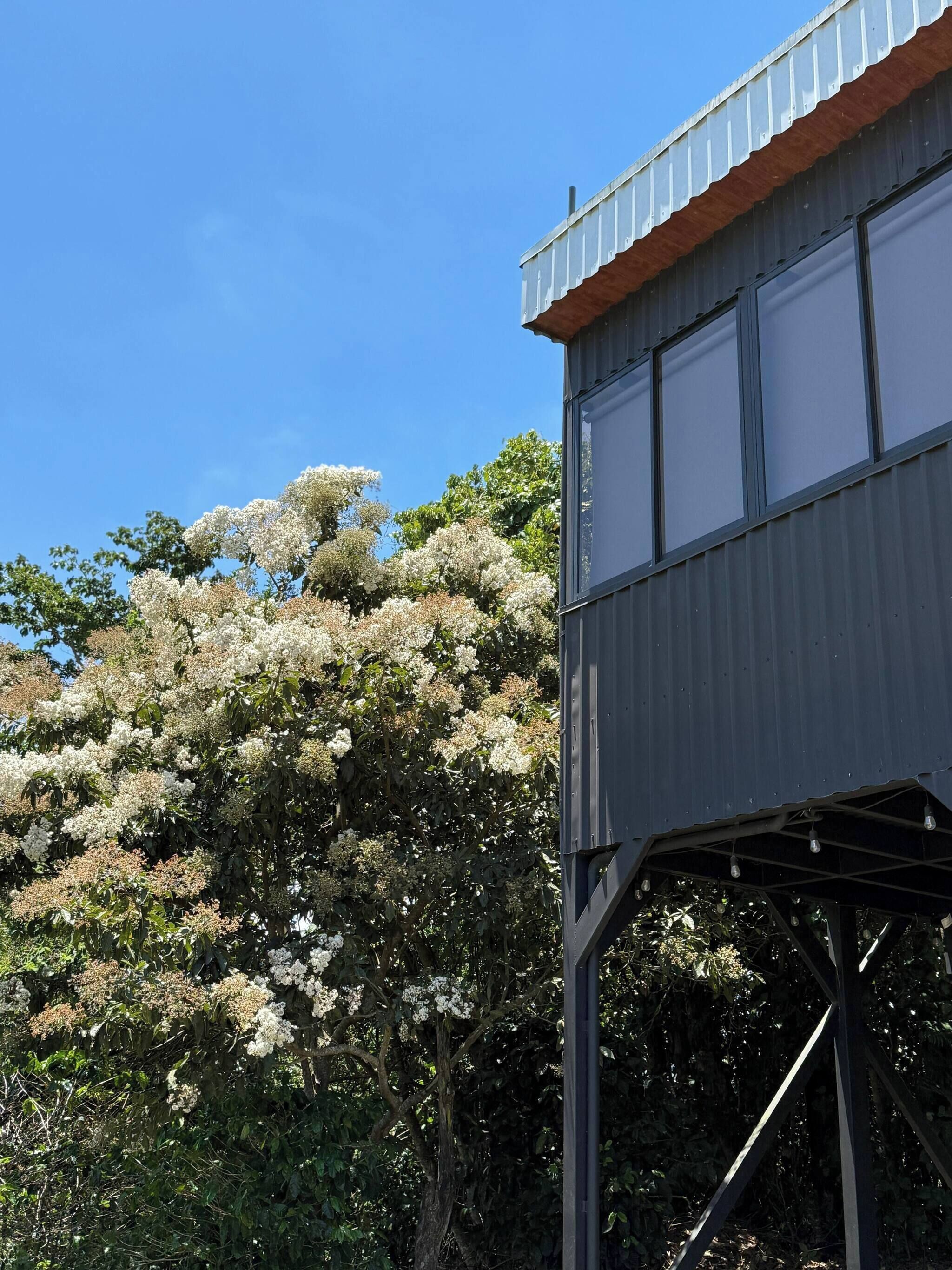 Casa, 1 habitación, para fumadores, vista a la montaña | Detalle exterior