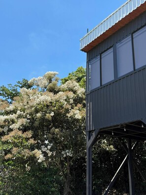 House, 1 Bedroom, Smoking, Mountain View | Exterior detail