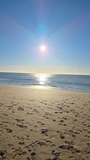 Plage, chaises longues