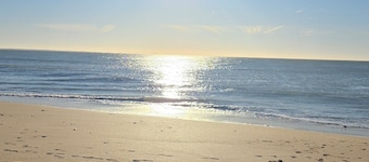 Beach house, a stone's throw from the sea and the pine forest