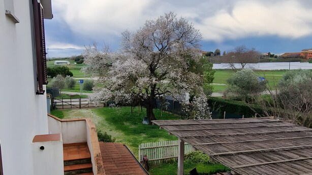Eine Terrasse mit einer Holztreppe, einer Pergola und Blick auf einen blühenden Baum und Felder.