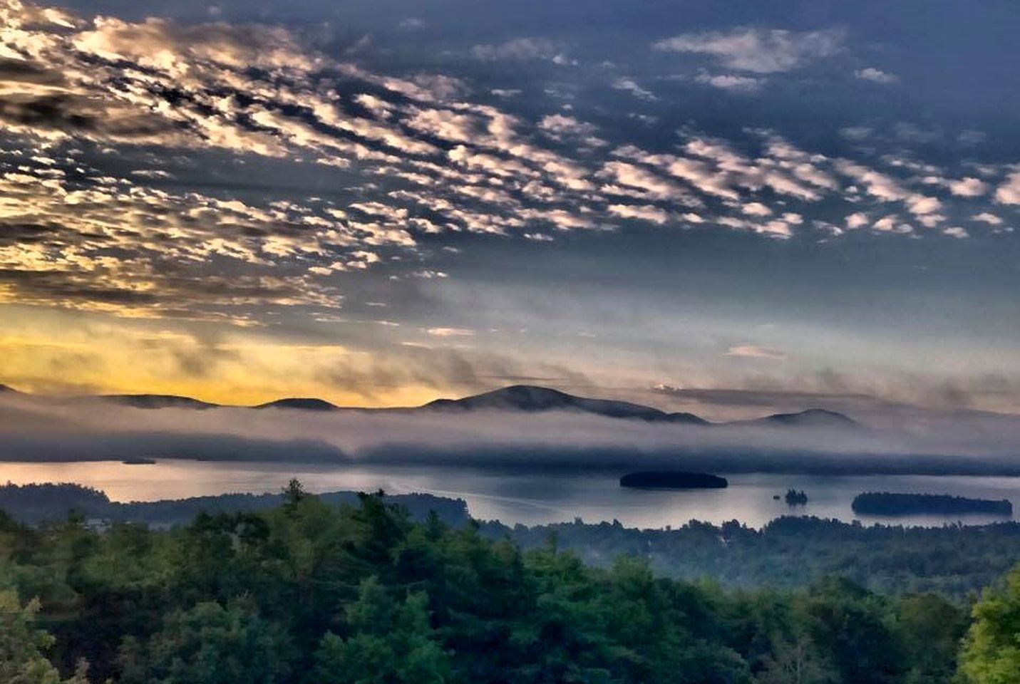 Divers