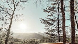 A wooden deck with a dog and a chair, overlooking a mountainous landscape. - Stunning Pet-Friendly Treehouse for Relaxing Glamping Retreats in North Carolina (Cantón)