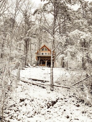 A cabin surrounded by snow-covered trees.