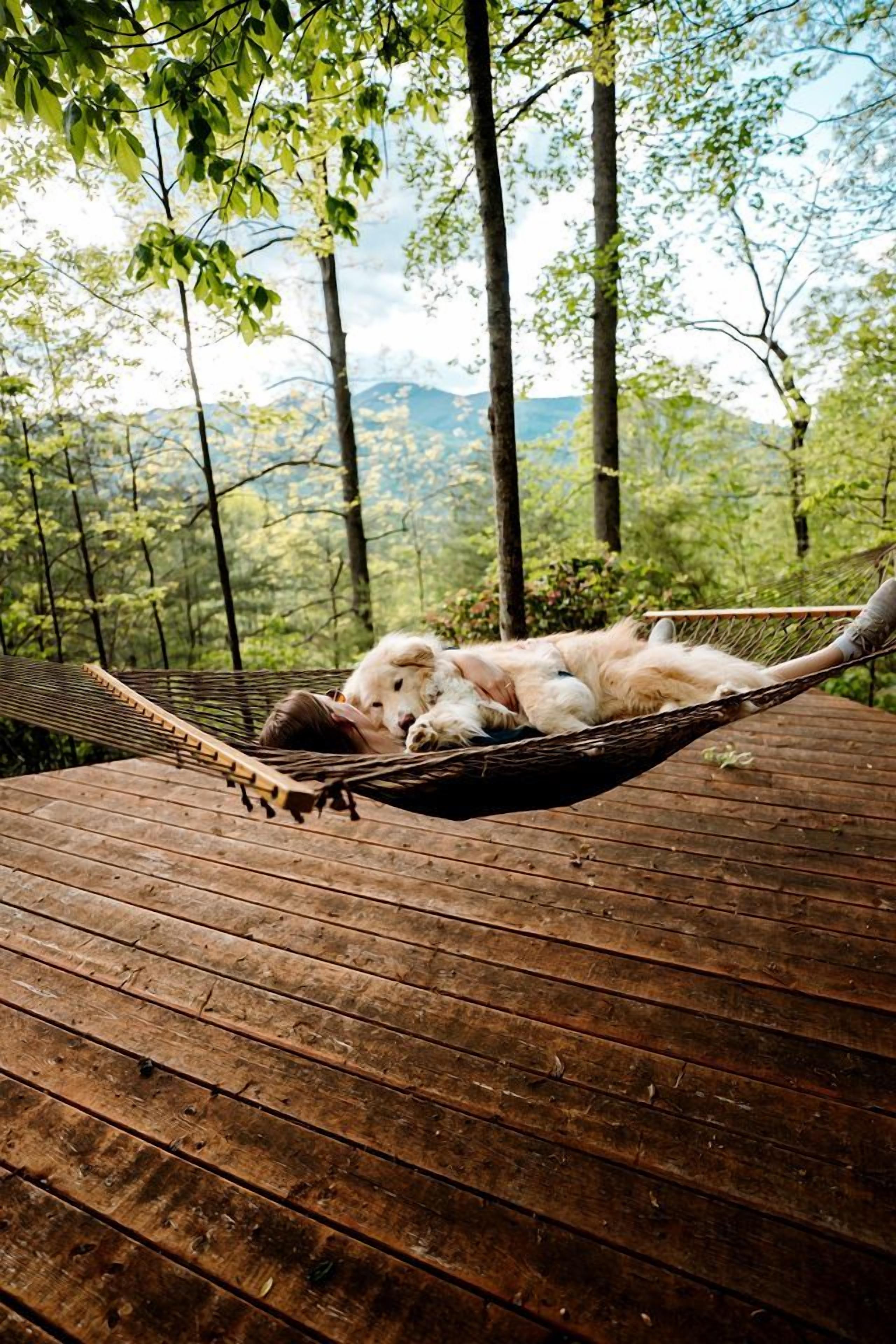 A hammock on a wooden deck with a view of a forest and mountains.