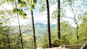 A hammock on a wooden deck with a view of a forest and mountains.