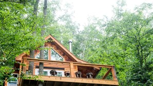 A wooden cabin with a balcony, surrounded by dense forest. - Stunning Pet-Friendly Treehouse for Relaxing Glamping Retreats in North Carolina (Cantón)
