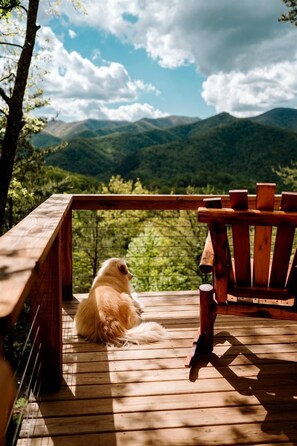 Une terrasse en bois avec un chien, une chaise en bois et une vue sur des montagnes verdoyantes.
