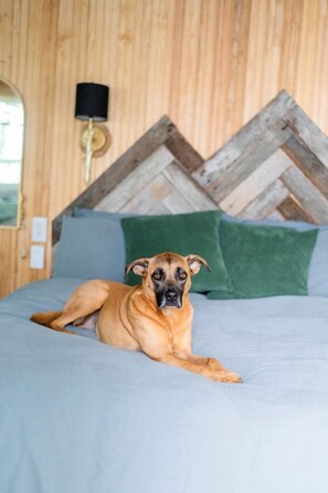 A dog lying on a bed with a wooden headboard and a green pillow. - Stunning Pet-Friendly Treehouse for Relaxing Glamping Retreats in North Carolina (Cantón)