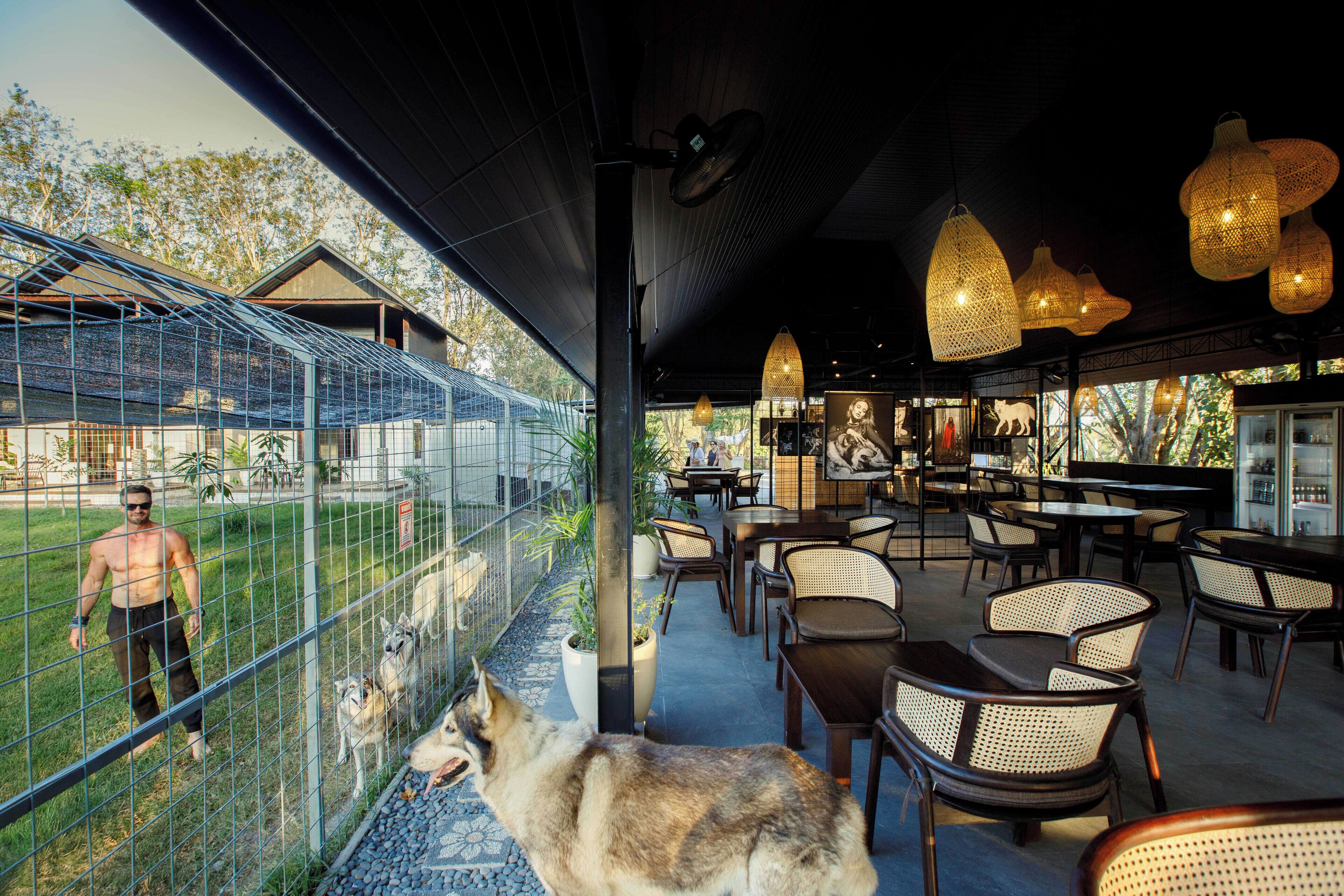 Un espace de restauration en plein air avec des chaises et des tables en osier, une véranda en verre offrant une vue sur une personne et des chiens, et des luminaires suspendus.