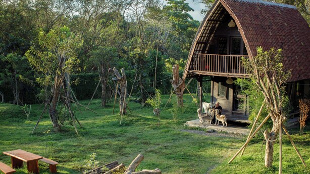 A rustic cabin with a porch, surrounded by a grassy area and trees. - Alpha Wolf Lodge (Tabanan)
