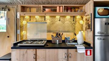 Fridge, microwave, stovetop, coffee/tea maker