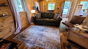 Televisor, videojocs, reproductor de DVD i videoteca