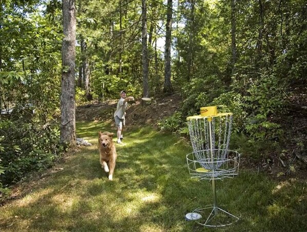 A disc golf basket in a wooded area with a dog and a person in the background.