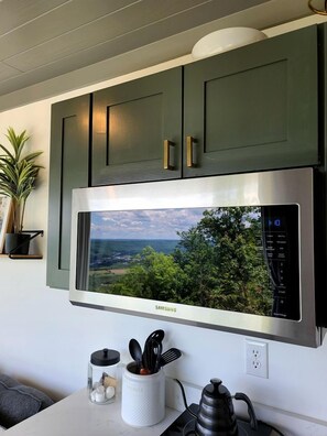 A modern kitchen with a large stainless steel microwave, green cabinets, and a view of a landscape. - Incredible Container with Rooftop and Beautiful Sunset Views in Georgia (Rising Fawn)