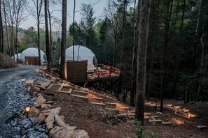 Two dome-shaped cabins in a forest, connected by a wooden deck with stone steps.