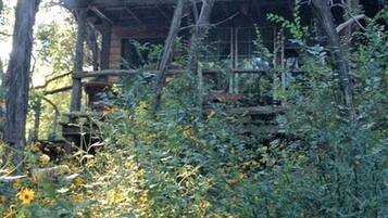 A rustic cabin with a wooden deck, surrounded by dense vegetation and trees.
