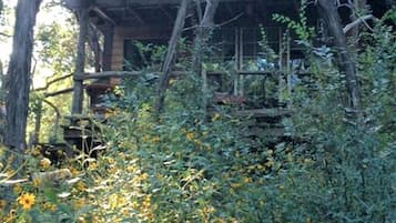 A rustic cabin with a wooden deck, surrounded by dense vegetation and trees.