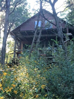 Un chalet rustique doté d’une terrasse en bois, entouré d’une végétation luxuriante et d’arbres.