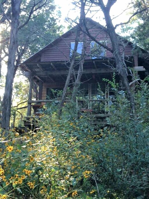 A rustic cabin with a wooden deck, surrounded by dense vegetation and trees.