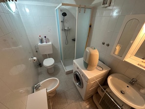 Shower, hair dryer, bidet, towels
