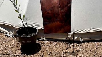 A tent with a potted plant and a banner.