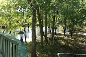 A wooden deck with a lamp post, surrounded by trees and a body of water. - Georgia's Family-Friendly Octagon Cabin Getaway in Claxton (Claxton)