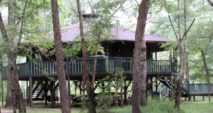 Georgia's Family-Friendly Octagon Cabin Getaway in Claxton
