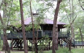 Une cabane dans les arbres dotée d’un balcon, entourée d’arbres.