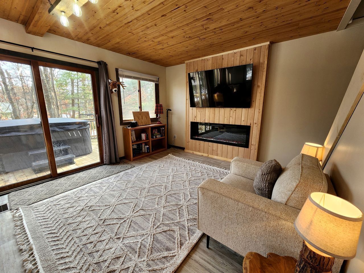 TV, fireplace