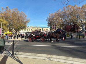 Miscellaneous - The View – 6BR, 4BA Luxury Home + Separate Studio (Sandy Bay)