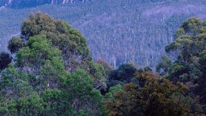 A mountain with a prominent peak and a tall white structure on top. - The View | Panoramic River Views | Sleeps 12 (Sandy Bay)