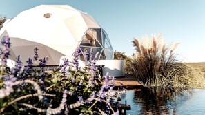 Una estructura de cúpula geodésica con una sección transparente, rodeada de agua y vegetación.