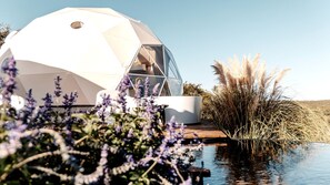 Een geodetische koepelstructuur met een transparant gedeelte, omgeven door water en begroeiing.