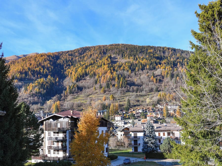 Vista desde la habitación
