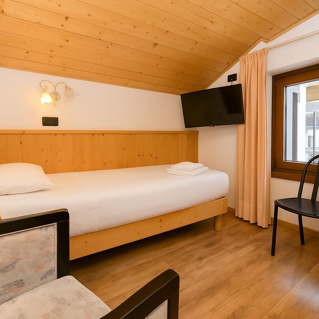 Basic Single Room, 1 Twin Bed | Premium bedding, down comforters, in-room safe, iron/ironing board