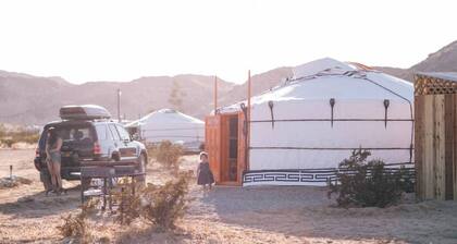 Relaxing Yurt Wonderful for Stargazing near Joshua Tree National Park, California