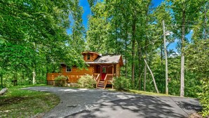 A cabin with a porch, surrounded by trees, and a paved driveway leading to it.