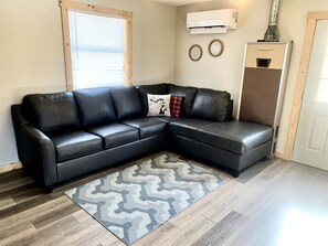 TV, video games, DVD player - Secluded Rustic Cabin with Hot Tub Near Pere Marquette River in Big Rapids, Michigan (Big Rapids)