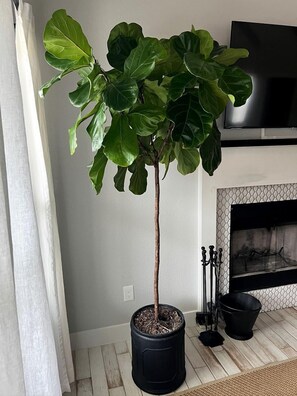 A living room with a large ficus plant in a black pot, a fireplace, and a flat-screen TV mounted on the wall. - Cozy Cabin in the Texan Countryside for Glamping Vacations in Wimberley (Wimberley)