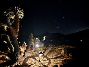 A nighttime desert landscape with illuminated plants and a lamp post.