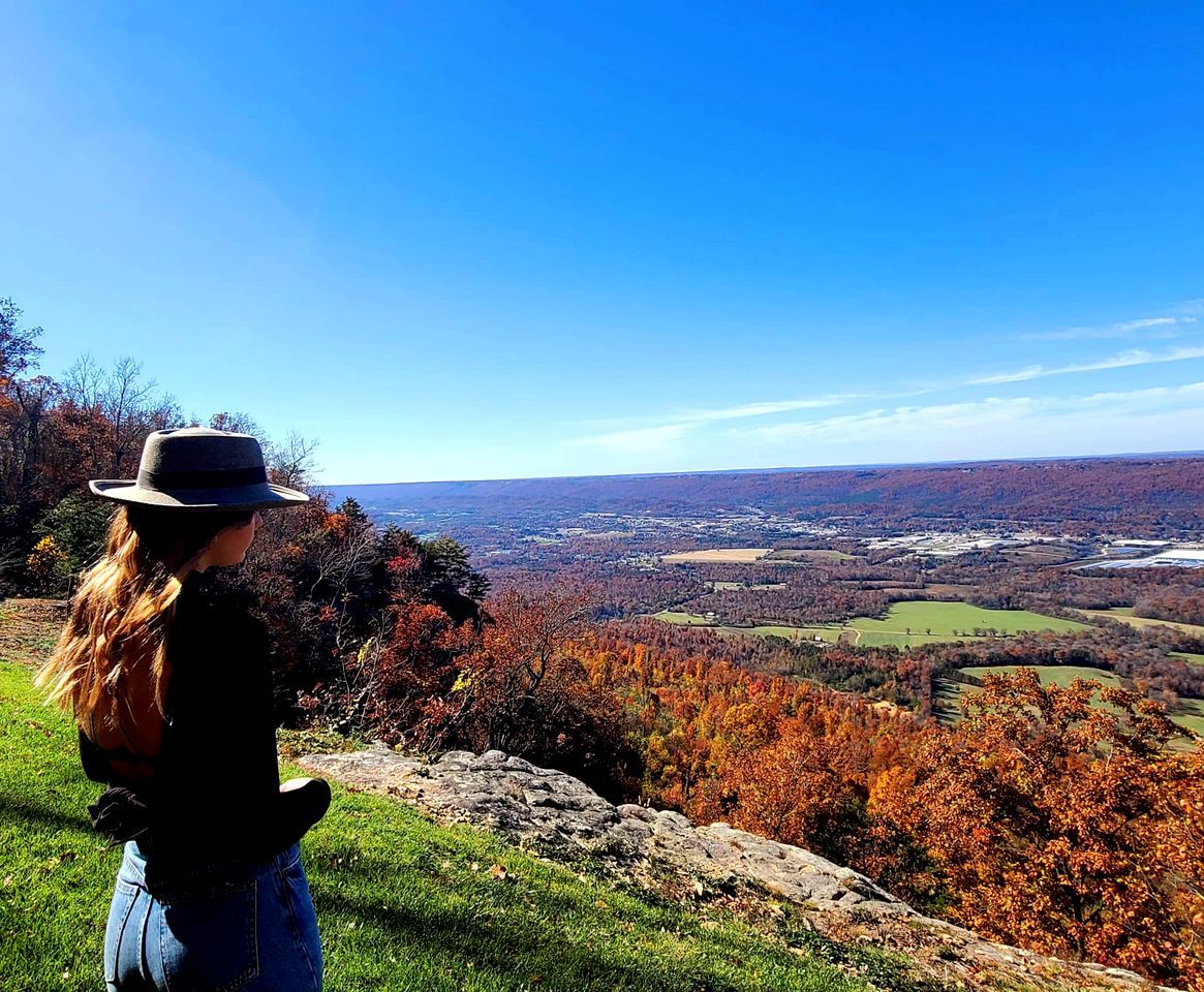 A person overlooking a landscape with autumn foliage and a distant view of a town.