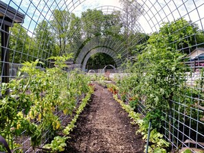 المنطقة المحيطة بالمنشأة